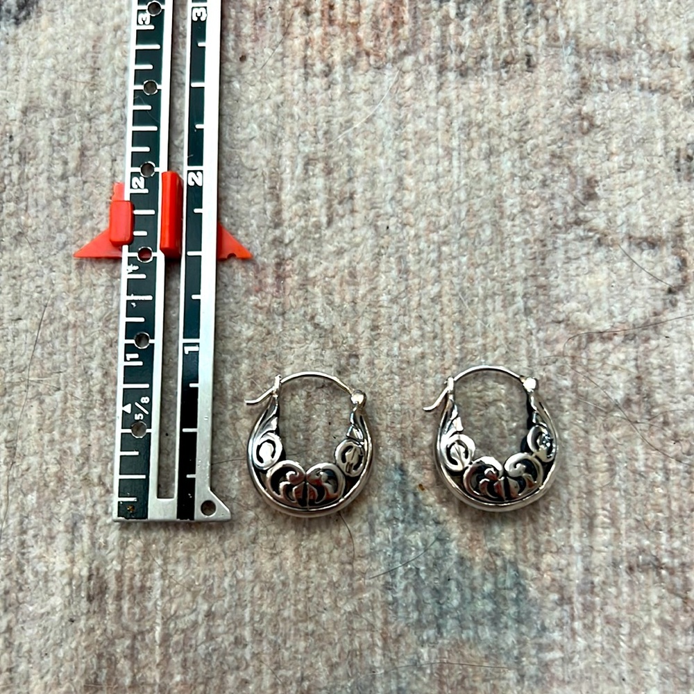 Sculpted loop earrings